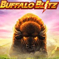 Buffalo Blitz II